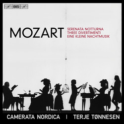 Mozart - Serenades & Divertimenti
