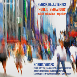 Henrik Hellstenius - Public Behaviour