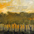 Stenhammar - String Quartets Nos 5 & 6