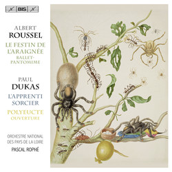 The Sorcerer’s Apprentice & The Spider’s Feast