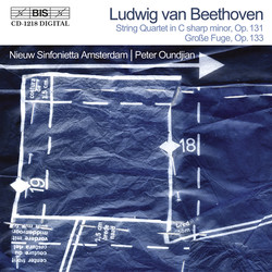 Beethoven - Grosse Fuge (for string orchestra)