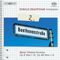 Beethoven - Complete works for solo piano, Vol.2