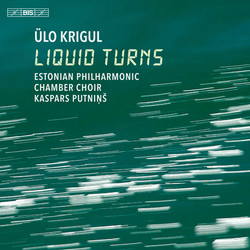 Ülo Krigul - liquid turns